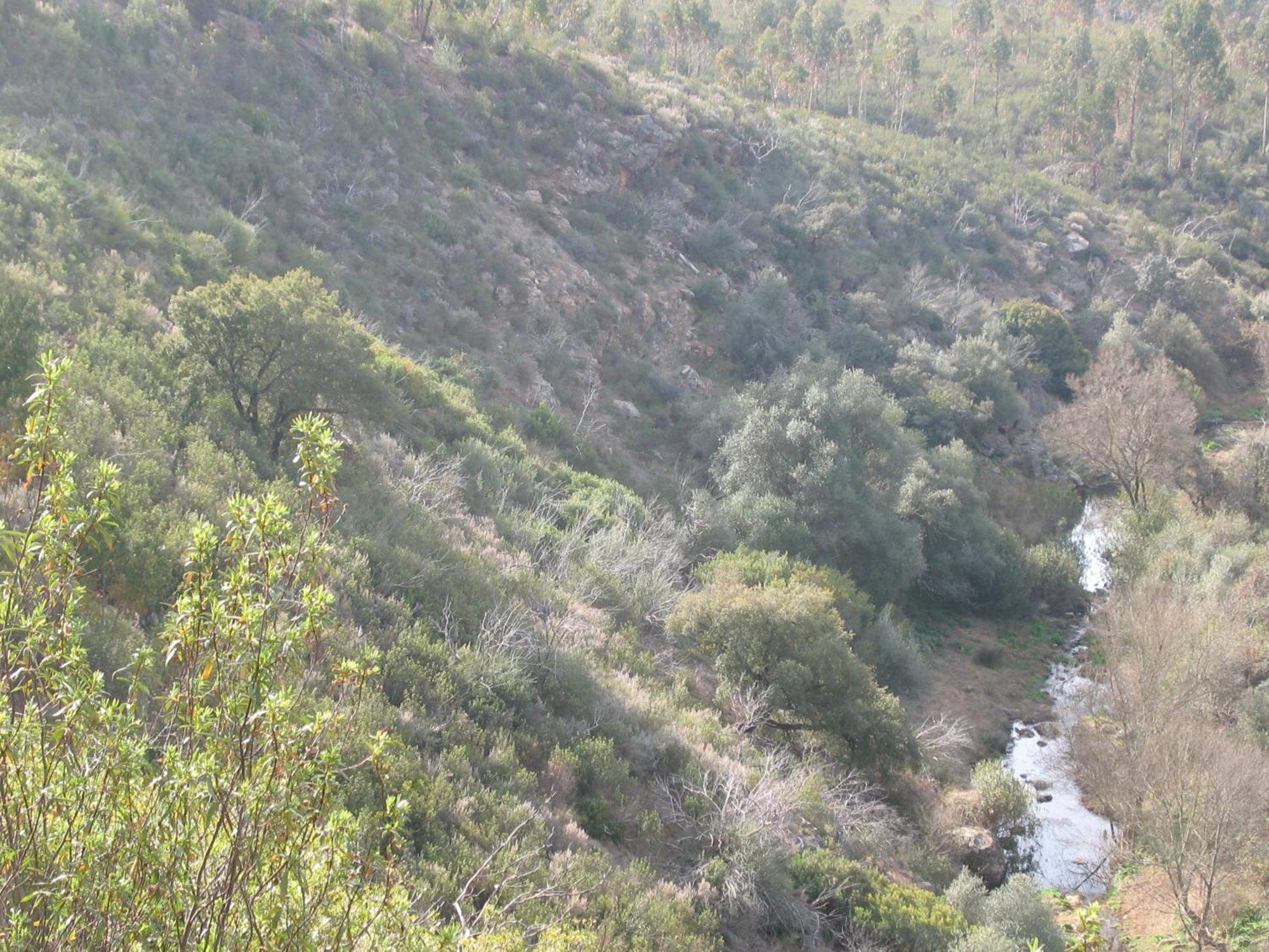 Herdade Do Rio Torto Portel Exterior photo