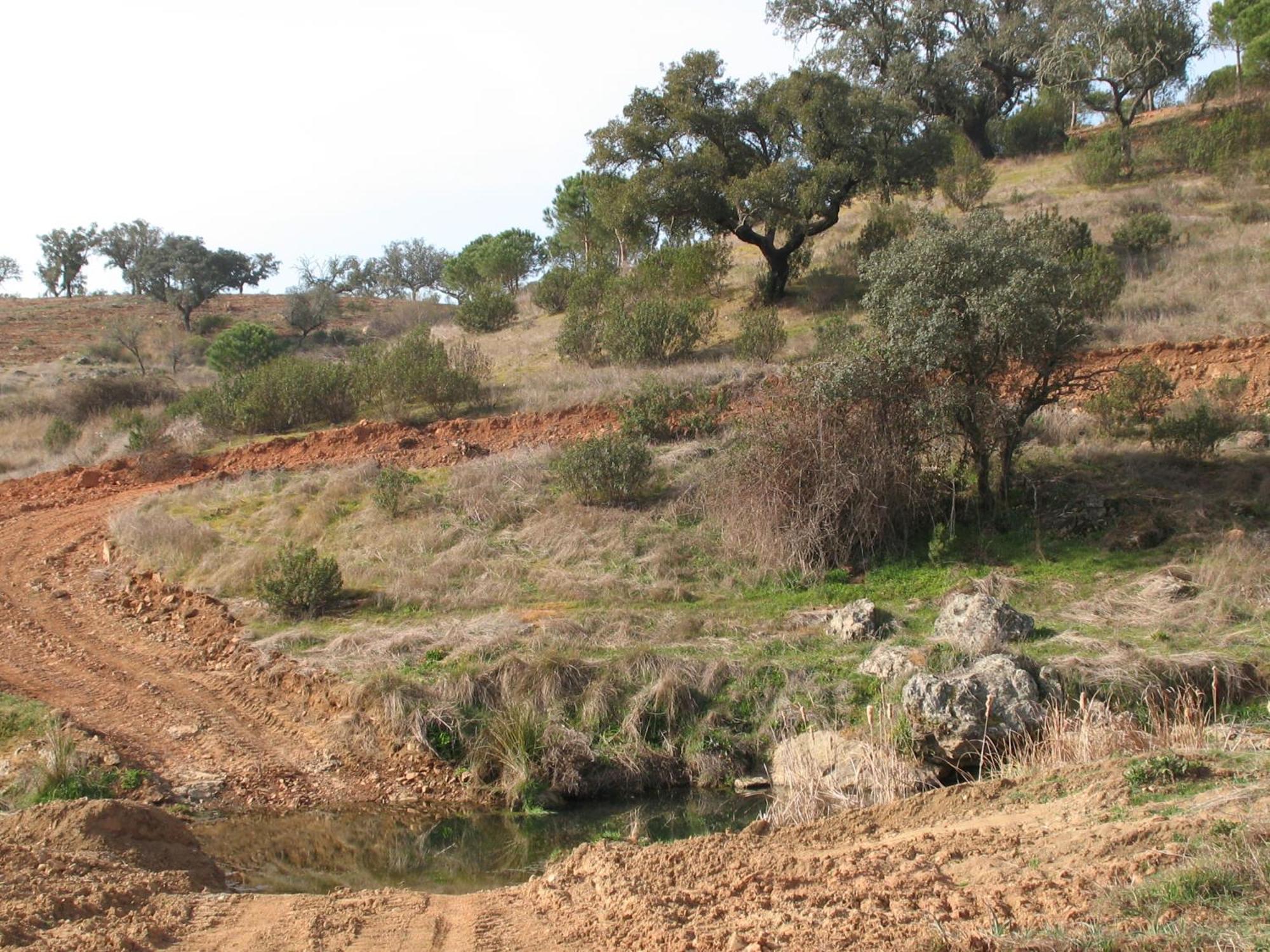 Herdade Do Rio Torto Portel Exterior photo