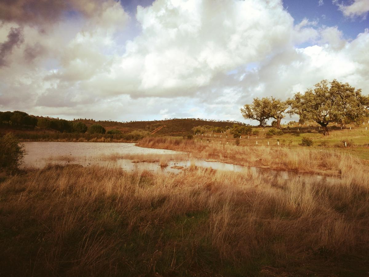 Herdade Do Rio Torto Portel Exterior photo