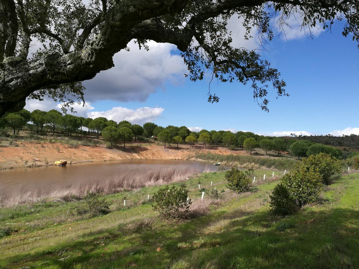 Herdade Do Rio Torto Portel Exterior photo